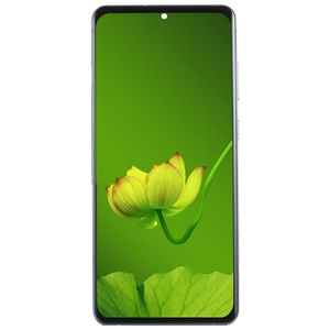 หน้าจอแอลซีดีสำหรับซัมซุง S20อัลตร้าสกรีนสำหรับซัมซุงกาแล็คซี่ S20อัลตร้า5กรัมดิสเพลย์ OEM ไม่มีกรอบ - Product Image 2