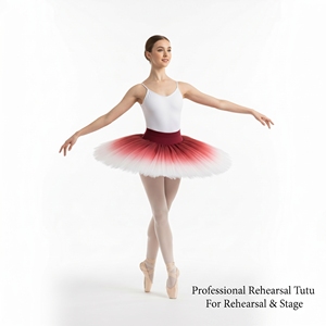 Factory Custom Ombre Tulle <b>Ballet</b> <b>Tutu</b> Multi-Color Half Pleated Skirt Professional Rehearsal Practice <b>Tutu</b> for Stage Performance - Product Image 1
