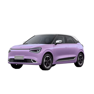 2024 Dongfeng Nano 01 330 Lite Air 430 Mini SUV Coche eléctrico de alta velocidad para adultos Vehículo de nueva energía barato