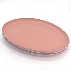 BPA Free Food Safety Plastic Oval Platter Party Platter