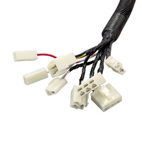 Arnés de Cableado para Modificación de Motor de Automóvil Personalizado con Certificación TS16949, con Conductor de Cobre Estañado y Aislamiento de PVC
