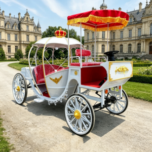Chariot de luxe en forme de citrouille pour mariage, style personnalisé, <span class=keywords><strong>prix</strong></span> d'usine abordable pour le tourisme en zone touristique et l'activité commerciale - Product Image 5