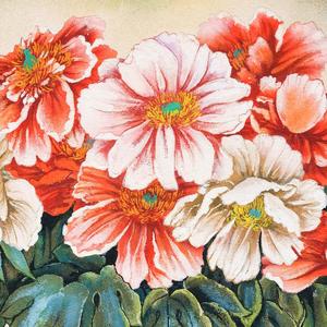 Fatta a mano cinese fiori <span class=keywords><strong>di</strong></span> peonia stile tulipano parete arte arenaria pittura per Hotel decorazioni per la casa e ornamento arte floreale opere d'arte - Product Image 2