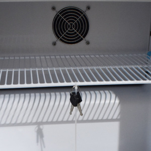 Réfrigérateur de laboratoire Biobase (type économique) vertical BPR-5V46 46L 2~8°C ℃    Réfrigérateur <span class=keywords><strong>à</strong></span> porte vitrée pour laboratoire - Product Image 4