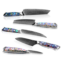 Ensemble de couteaux de cuisine professionnels Santoku Kiritsuke Nakiri, manche en coquille d'ormeau en acier damas, 5 pièces