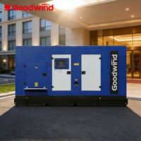 Groupe électrogène diesel de secours triphasé Caterpillar 125 250 kVA OEM Goodwind 2026 à faible consommation de carburant