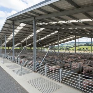 Edificio de taller prefabricado de estructura de acero personalizado para uso en la construcción de granjas de cerdos con estructura de acero. - Product Image 3