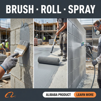 Primaire imperméabilisant à pénétration profonde pour murs en ciment, enduit de renforcement et d'étanchéité pour le traitement des surfaces de base des bâtiments