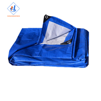 Importateur Bâches Pe Tarpaulin 60gsm Pe Tarpaulin Clear Tarpaulin