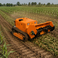 Mesin pemotong rumput Robot Remote Control pemotong sikat perayap industri kualitas tinggi disetujui CE untuk mesin pemotong rumput pertanian