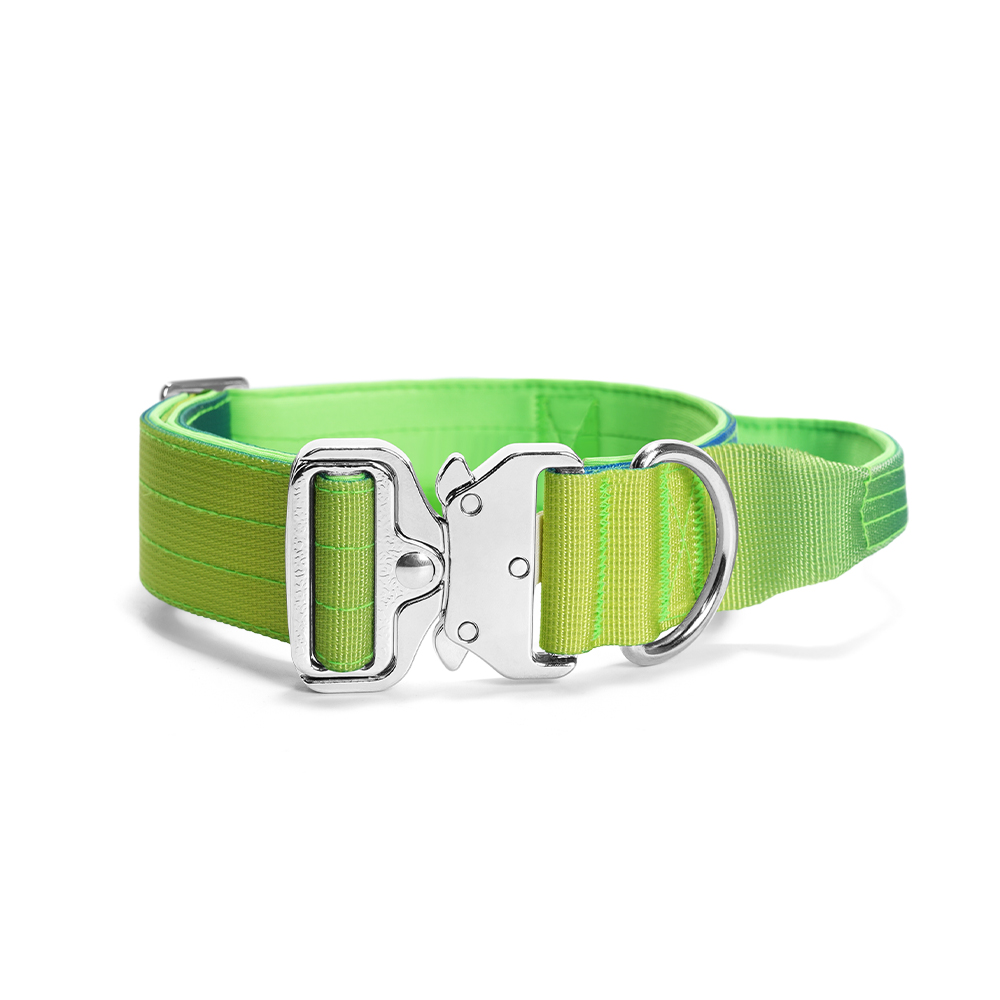 Dégradé vert clair-vert foncé-bleu