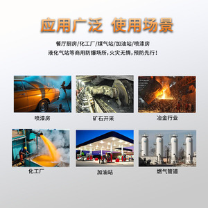 เครื่องตรวจจับก๊าซรั่ว GTY-FL918 สำหรับโพรเพนและก๊าซธรรมชาติ ใช้ในอุตสาหกรรมและเชิงพาณิชย์ พร้อมสัญญาณเตือนแบบเสียงและภาพ - Product Image 5