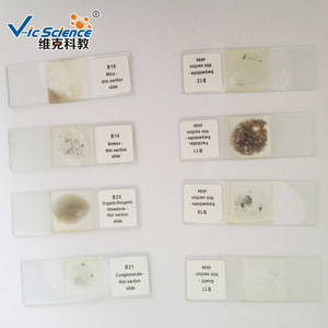 Source manufacturer of almandine schist, geological teaching and research glass slides, and various rock grinding sections. - Product Image 3