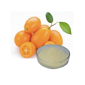 Alta Qualidade <span class=keywords><strong>Kumquat</strong></span> Suco Em Pó Extrato De Fruta Em Pó - Product Image 1