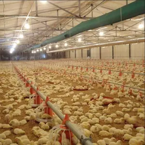 ที่มีคุณภาพสูงราคาถูกที่ทันสมัยอุปกรณ์ฟาร์มสัตว์ปีกสำหรับเลี้ยงไก่