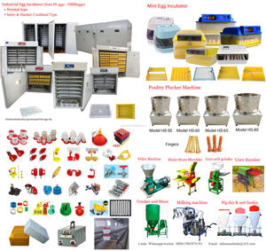 Di alta Qualità automatico <span class=keywords><strong>pig</strong></span> <span class=keywords><strong>feeder</strong></span> maiale alimentatore per la vendita filippine alimentatore maiale - Product Image 6