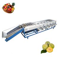 Meest Populaire Droge Fruitreinigingsmachine 30 Kg Borstelspray Fruitreinigingsmachine Reinigingsmachine Fruitwasmachine