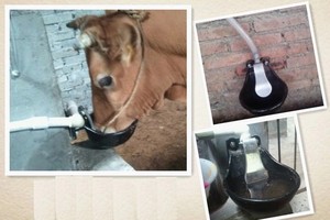 Abreuvoir à eau automatique pour vache, en plastique, <span class=keywords><strong>équipement</strong></span> pour le betail, économie d'eau - Product Image 6