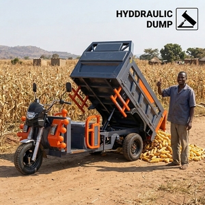 Tricycle à benne basculante robuste à trois roues, capacité de charge de 1200 kg, avec vérin à double cylindre pour usage agricole - Product Image 1