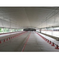 Ferme aviculture/poulailler volaille/poulailler à faible coût