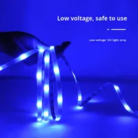 Bande lumineuse LED 2835 RGB haute luminosité néon flexible télécommandée bandes lumineuses intelligentes décoratives irisées