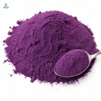 Approvisionnement direct usine de poudre d'igname violette UBE de qualité alimentaire pour compléments alimentaires et ingrédients de production de boissons solides