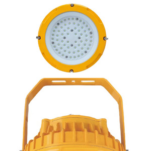Projecteur LED antidéflagrant 50W G34, éclairage industriel minier, Nema 4X T4, garantie 5 ans - Product Image 2