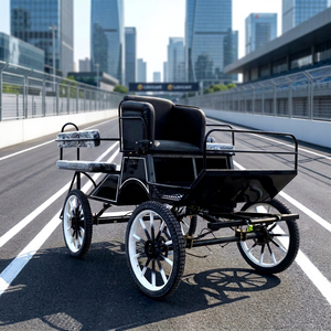 Luxury Electric Four-<b>Wheel</b> Marathon Horse Pony Carriage Cart Marathon Horse Carriage for Draft Tourism Pony Cart - Product Image 1