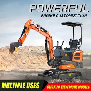 Type Excavator EPA EURO V STANDARD 1000 KG MINI EXCAVATOR 1 TON MINI DIGGER 1000 KG SMALL MINI EXCAVATOR