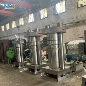 Extractor de Aceite de Semilla de Opuncia Hidráulico, Prensado en Frío, Comercial - Product Image 1