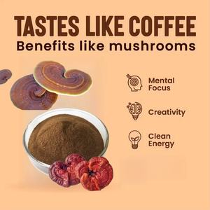 Sıcak satış gıda sınıfı Ganoderma özü tozu mantar tozu organik bitkisel aslanlar yele anında Ganoderma tozu - Product Image 6