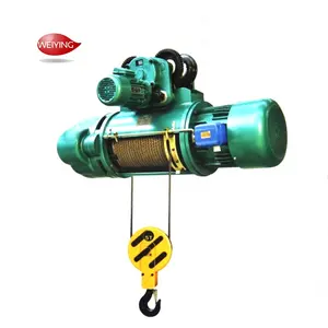 Professional Factory Selling Single Double Girder Electric Steel Wire Pully Hoist 5T 10T