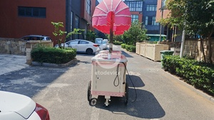 รถขายฮอทดอกเคลื่อนที่ Etodevice สำหรับขายอาหารริมทาง - Product Image 3