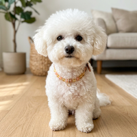 Nouveau design léger pour animaux de compagnie : Collier ajustable en cristal étincelant et pierres précieuses, accessoire de mode pour chats et chiens au quotidien