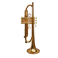 Professional Model Sanded Gold Plated Yellow Brass BB Trumpet with Imported Saturn Water Key