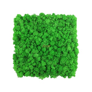 Panneaux de mousse verte naturelle carrée en gros, décoration de bureau, lichen stabilisé préservé, décoration murale de Noël, lichen préservé - Product Image 2