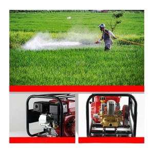 Spruzzatore Portatile a Benzina con Pompa a Pistone da 22mm, Nuovo, per Uso Domestico e Agricolo - Product Image 3