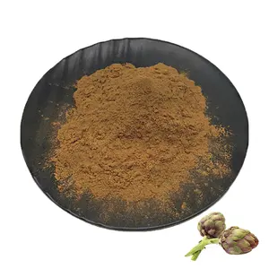 Artichoke Powder Wholesale Bulk Natural Artichoke Extract Powder