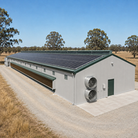 Bâtiment avicole préfabriqué en structure acier pour élevage de poulets de chair et pondeuses, avec toit à panneaux solaires et ventilation personnalisée