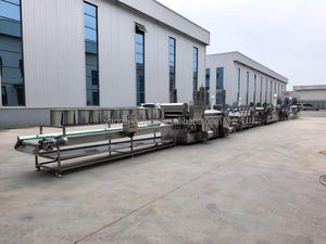 Friteuse à pommes de terre entièrement automatique et continue pour frites, chips et autres snacks, avec convoyeur, pour la production de chips Lays - Product Image 6