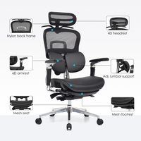 Chaise de bureau ergonomique en maille BIFMA de Chine avec support lombaire réglable et accoudoirs 6D pour ordinateur
