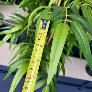Arbre en <span class=keywords><strong>bambou</strong></span> artificiel haut <span class=keywords><strong>de</strong></span> gamme pour la décoration intérieure, vente en gros - Product Image 4