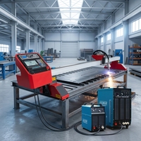 Máquina de Corte por Plasma CNC Mini Gantry con Servomotor de Alta Productividad para Acero