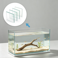 Verre trempé fourni directement par l'usine chinoise pour les fabricants d'aquariums écologiques personnalisés