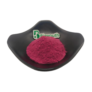 제조업체 공장 공급 <span class=keywords><strong>Acai</strong></span> 베리 과일 분말 <span class=keywords><strong>Acai</strong></span> 베리 추출물 분말 <span class=keywords><strong>Acai</strong></span> 베리 분말 - Product Image 3