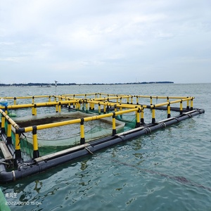 Cage à poissons carrée en HDPE avec plateforme de travail pour l'aquaculture intérieure - Product Image 3