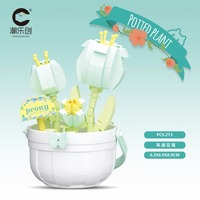 Boîte Mystère de Plantes Succulentes et Roses - Kit de Jardinière à Construire, Cadeau pour Femmes, Décoration de Bureau et Cadeau Surprise