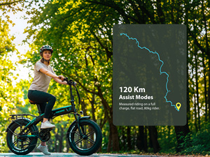 <span class=keywords><strong>Vélo</strong></span> <span class=keywords><strong>électrique</strong></span> pliable <span class=keywords><strong>à</strong></span> pneus larges avec modes d'assistance 120 km, batterie LG 48V15Ah, moteur Sutong 48V500W, frein hydraulique Tektro, Shimano 7 vitesses - Product Image 1