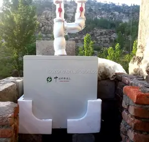 浄水器用自動化処理オゾン発生器200Gマシン