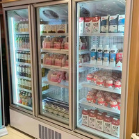 Congélateur vertical à porte vitrée à économie d'énergie pour supermarché commercial, vitrine réfrigérée multi-étagères